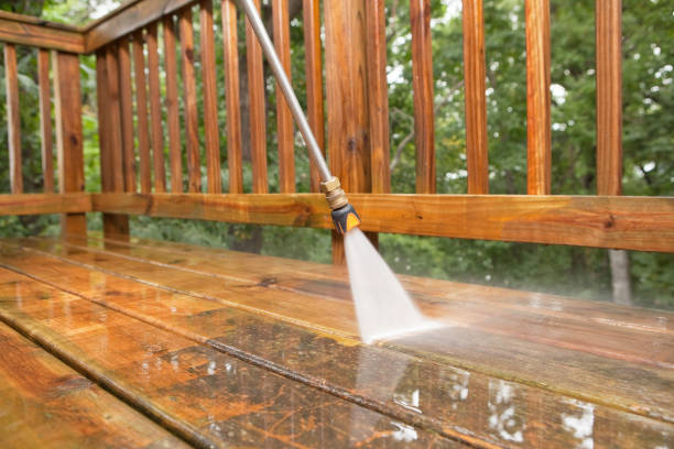 Professional Pressure Washing in Tiptonville, TN